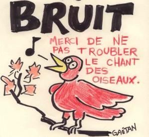 Bruit